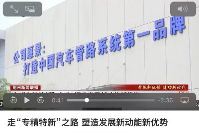 荊州天宇榮獲2022年度國(guó)家級(jí)專精特新小巨人榮登荊州新聞