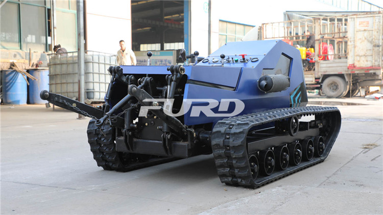 CZ4A3912.jpg CZ4A3912.jpg