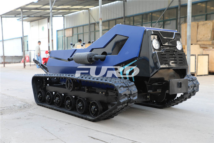 CZ4A3921.jpg CZ4A3921.jpg