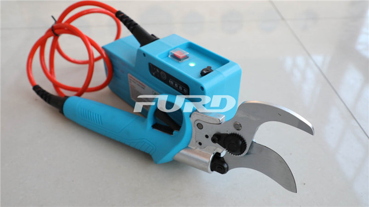 CZ4A5821.jpg CZ4A5821.jpg