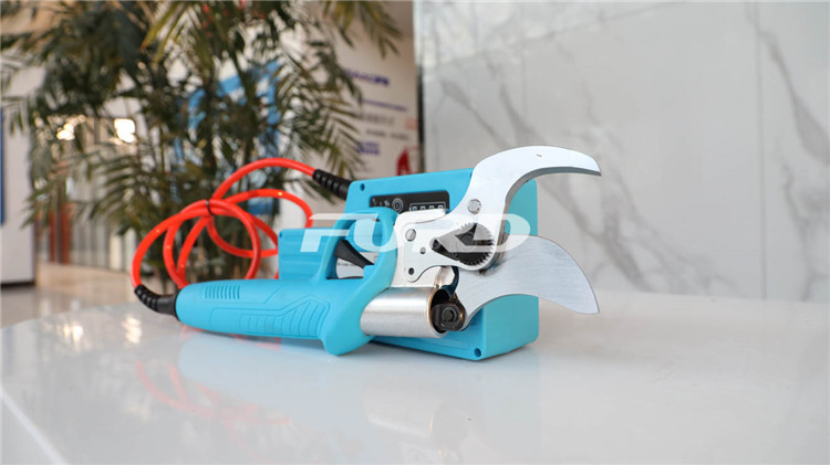 CZ4A5836.jpg CZ4A5836.jpg