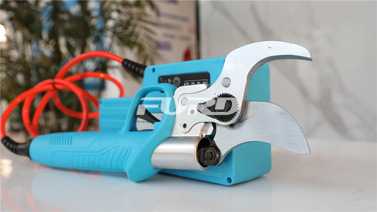 CZ4A5839.jpg CZ4A5839.jpg