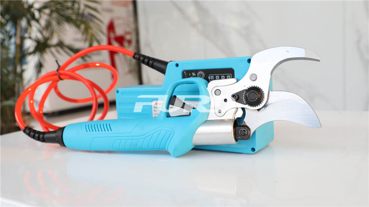 CZ4A5833.jpg CZ4A5833.jpg