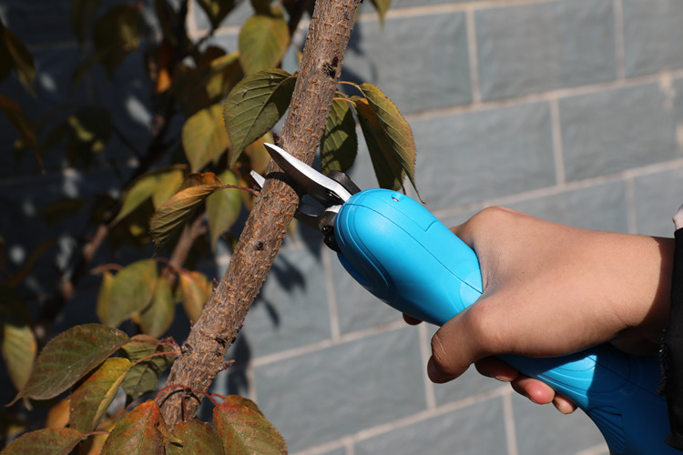 CZ4A3214_副本.jpg CZ4A3214_副本.jpg